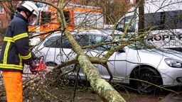 Ein Feuerwehrmann zersägt einen Baum, der bei einem Sturm auf ein Auto gefallen ist