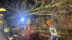 Feuerwehr Werne bei einem Einsatz wegen eines umgestürzten Baumes auf der Straße