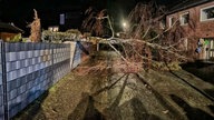 Umgestürzte Bäume in einer Siedlung in Grevenbroich