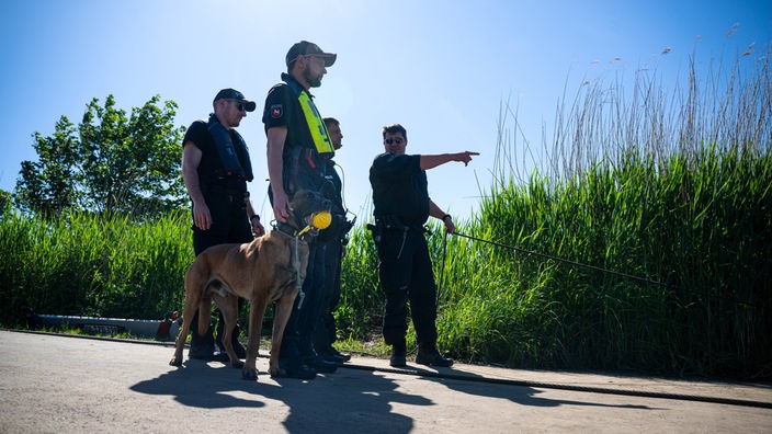 Einsatzkräfte der Polizei suchen Mitte Mai nach dem vermissten Arian mit einem Spürhund.