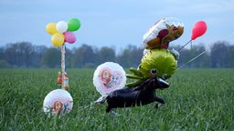 Suche nach vermisstem Kind mit Ballons 