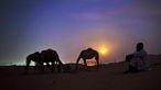 Der pakistanische Kamelhalter Asdollah sitzt bei Vollmond im Sand der Wüste Al Marmoom, etwa 40 km südöstlich von Dubai.