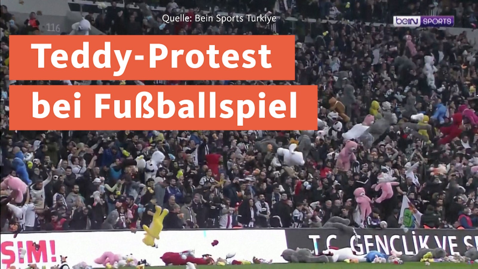Istanbuler Fußballfans werfen Teddys - und fordern Erdoğans Rücktritt - Nachrichten