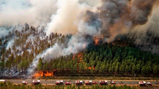 Feuerwehrfahrzeuge stehen am Straßenrand vor einem brennnenden Wald im Südwesten Frankreichs