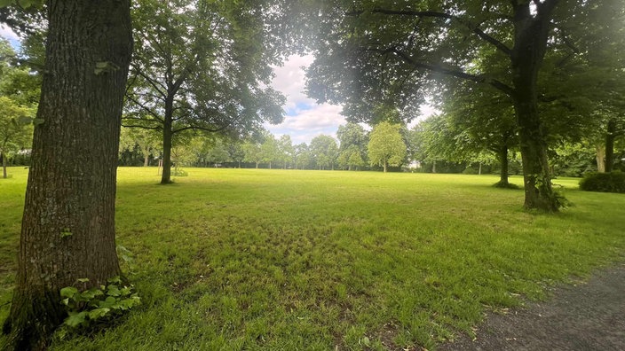 Tatort Messerstecherei Kaiser-Wilhelm-Park Krefeld