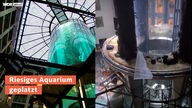 Teaserbild:  AquaDom in Berlin geplatzt