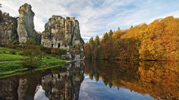 Links die Externsteine in Horn Bad-Meinberg, unten ein Teich, rechts ein Wald.