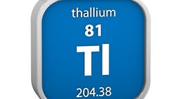 Thallium 81 TI