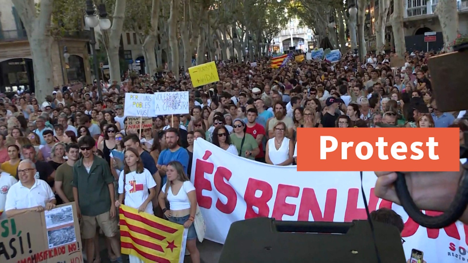 Demos Gegen Massentourismus Auf Mallorca - Nachrichten - WDR