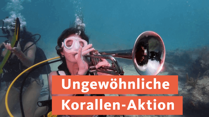 Eine als Meerjungfrau verkleidete Taucherin spielt unter Wasser eine Trompete.