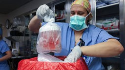 Eine Ärztin nimmt eine steril eingepackte Schweineniere aus einer Kühlbox. 