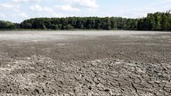 09.08.2022, Reckahn: Wie vertrockneter Wüstenboden sieht der Boden eines ausgetrockneten Fischteichs in Reckahn in Brandenburg aus
