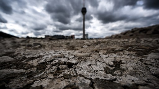 06.07.2022, Nordrhein-Westfalen, Düsseldorf: Ausgetrocknet und rissig präsentiert sich das trockengefallende Flussbett des Rheins