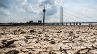 Aufgrund der hohen Temperaturen und der anhalten Duerre ist der Wasserstand Rheins bei Duesseldorf extrem niedrig