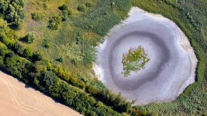 Ein kleiner Teich in Wülfrath ist komplett ausgetrocknet, die Algen liegen auf dem Grund