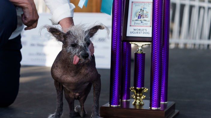 Ugliest Dog Contest Gewinner Pokal 2023