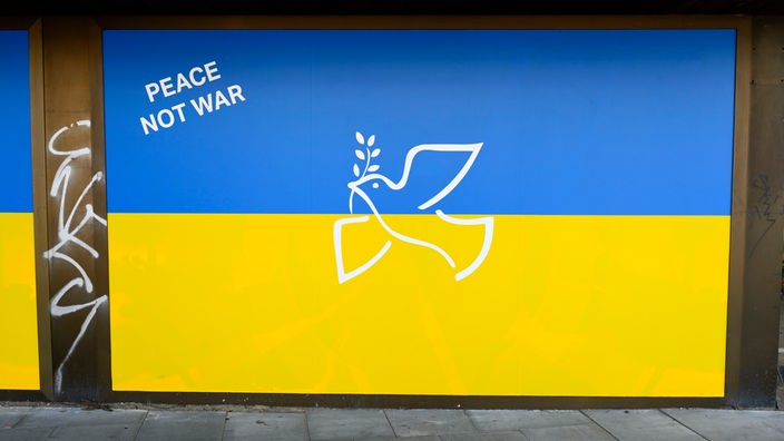 Auf einem Schaufenster ist eine große ukrainischen Flagge mit einer Friedenstaube zu sehen. Am Rande steht: Peace Not War.