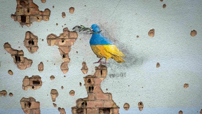 Eine Taube in den ukrainischen Nationalfarben mit einem Olivenzweig im Schnabel, gemalt auf einer von Schüssen durchlöcherten Wand.