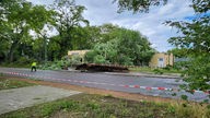 Baum fällt bei Unwetter auf Kindergarten in Duisburg-Neuenkamp