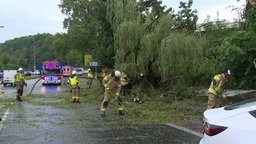 Ein Baum stürzt auf einen Radfahrer in Bergisch Gladbach