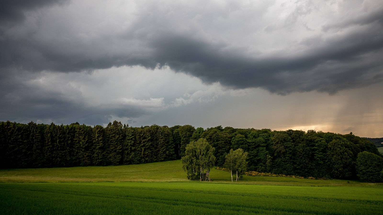 NRW – Aktualności – WDR – W wiadomościach możliwe trudne warunki pogodowe