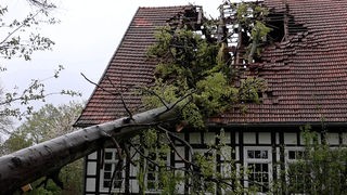 Nordrhein-Westfalen, Lotte-Wersen: Ein Baum ist bei stürmischem Wetter durch das Dach eines Fachwerkhauses im Kreis Steinfurt gestürzt.