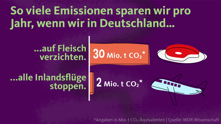 Wenn wir auf Fleisch verzichten, sparen wir 15 Mal so viel CO2-Emissionen als wenn wir auf alle Inlandsflüge verzichten.