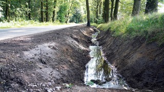 Schwarze Substanz am Wegrand in Dorsten.