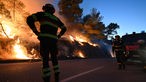 Waldbrand in Kroatien