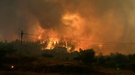 Waldbrand in Portugal