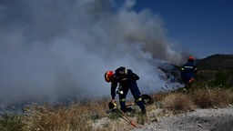 Feuerwehr kämpft gegen Rauch im Waldbrand 