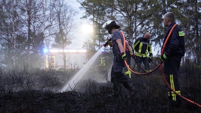 Einsatzkräfte löschen den Brand in einem Wald in Horn-Bad Meinberg