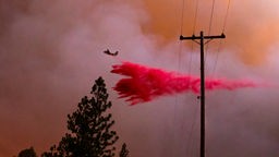 Ein Löschflugzeug wirft bei der Bekämpfung des Oak Fire in Kalifornien Löschmittel ab. 