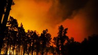 Archivbild von 2020: Ein Waldstück bei Empt brennt in der Nacht.