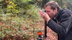 Alexander Weller, Leiter Team Waldplanung, Wald und Holz NRW