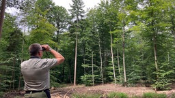 Mitarbeiter vom "Team Waldinventur" schaut mit einem Fernglas in die Baumkronen