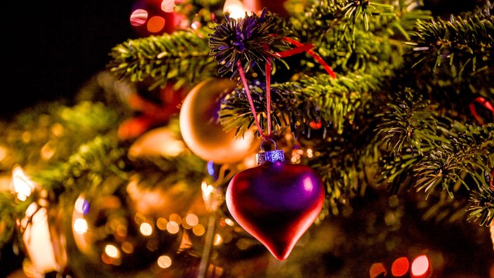Corona Und Weihnachten Hauptsache Der Baum Steht Schon Mal Nachrichten Wdr