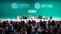 Sultan al-Dschaber, Präsident der COP28, (M) und weitere Teilnehmer auf der Konferenz applaudieren