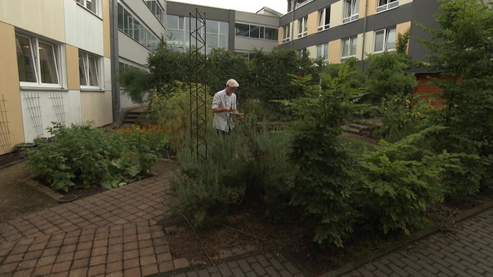 Garten im klimaneutralen Krankenhaus