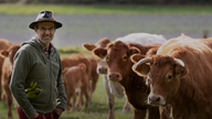 Landwirt Ulf Allhof-Cramer steht auf einer Weide vor mehreren Kühen
