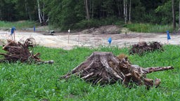 Eine Ölkaverne, vor der auf einem Stück grüner Wiese abgeholzte Baumstämme stehen.