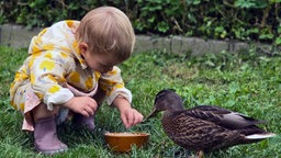 Kind mit Ente auf einer Wiese 