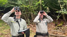 Kay Genau und Lutz Jaschke inspizieren die Baumkronen im Arnsberger Wald durch Ferngläser