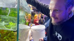 Marcel Stawinoga aus dem Zoo Dortmund holt Reisfisch aus einem Aquarium