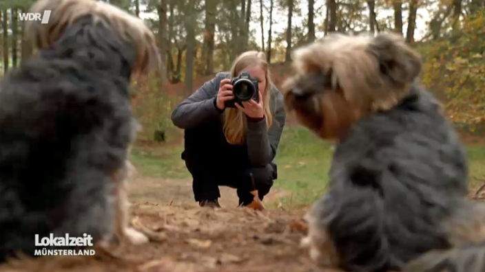  Zwei Hunde von hinten, die von der Hundefotografin fotografiert werden.