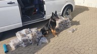 Ein Spürhund neben gefundenen Drogen-Paketen.
