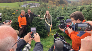 Sarah Neßhöver beim Weihnachtsbaum absägen