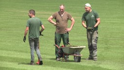 Der Rasen im Hembergstadion wurde erst kürzlich neu verlegt 