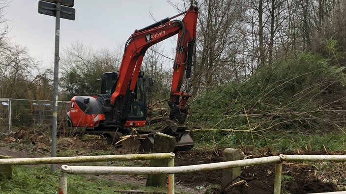 Zu sehen ist ein roter Bagger, der einen Baum rodet.