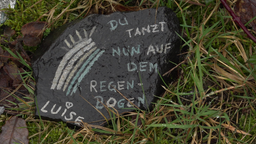 Ein Stein am Erinnerungsort mit einem aufgemalten Regenbogen und der Aufschrift "du tanzt nun auf dem Regenbogen Luise"
